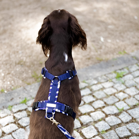 Hundegeschirr PURE Blue Leaves