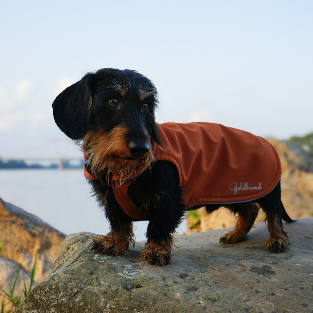 leichter Hundemantel CosyShell light rost