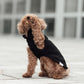 Hundepullover CosyShirt stay warm schwarz