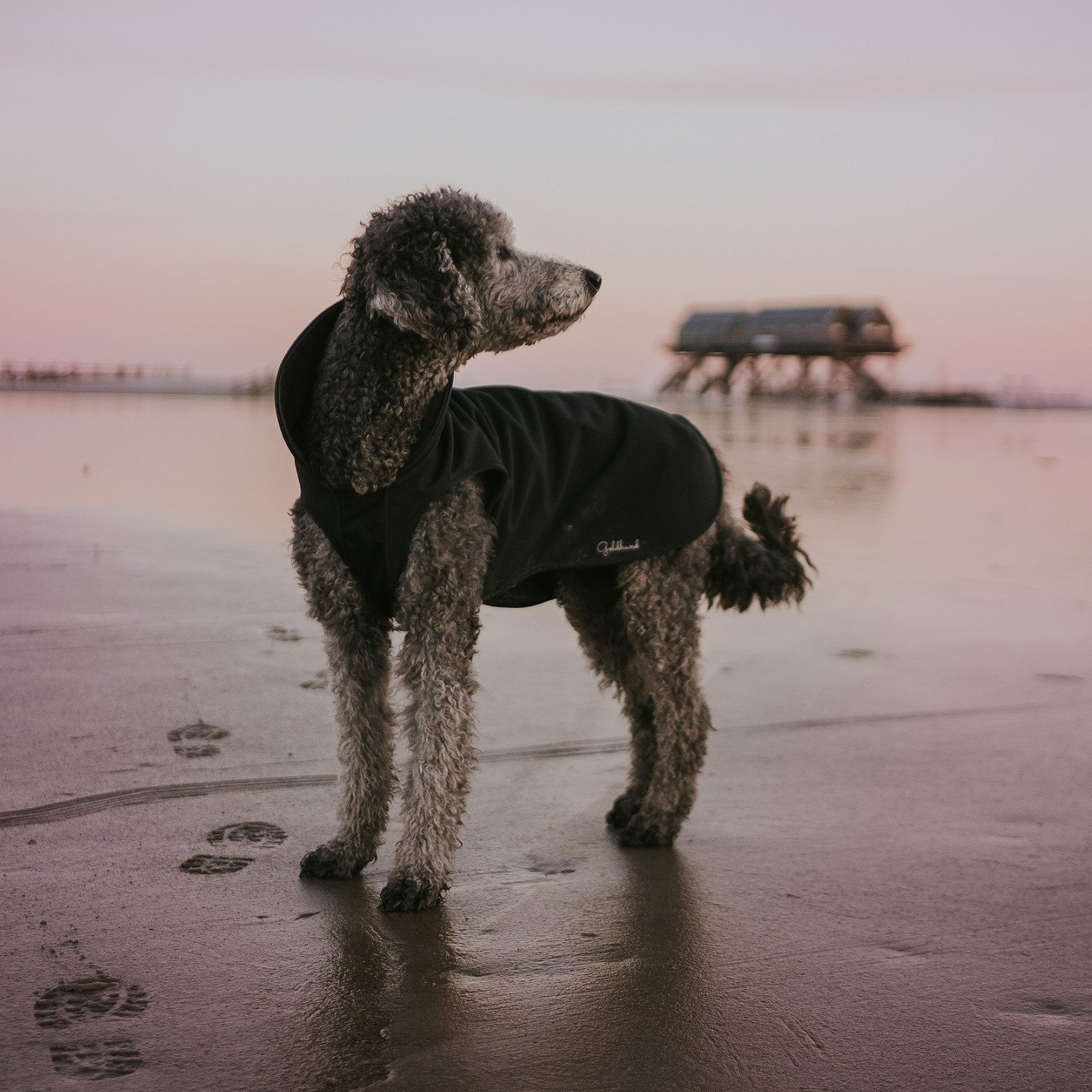 Kentucky Hundemantel Wasserdicht – Dusty Blue, Größe XS 31, Mit Künstlichem Fell