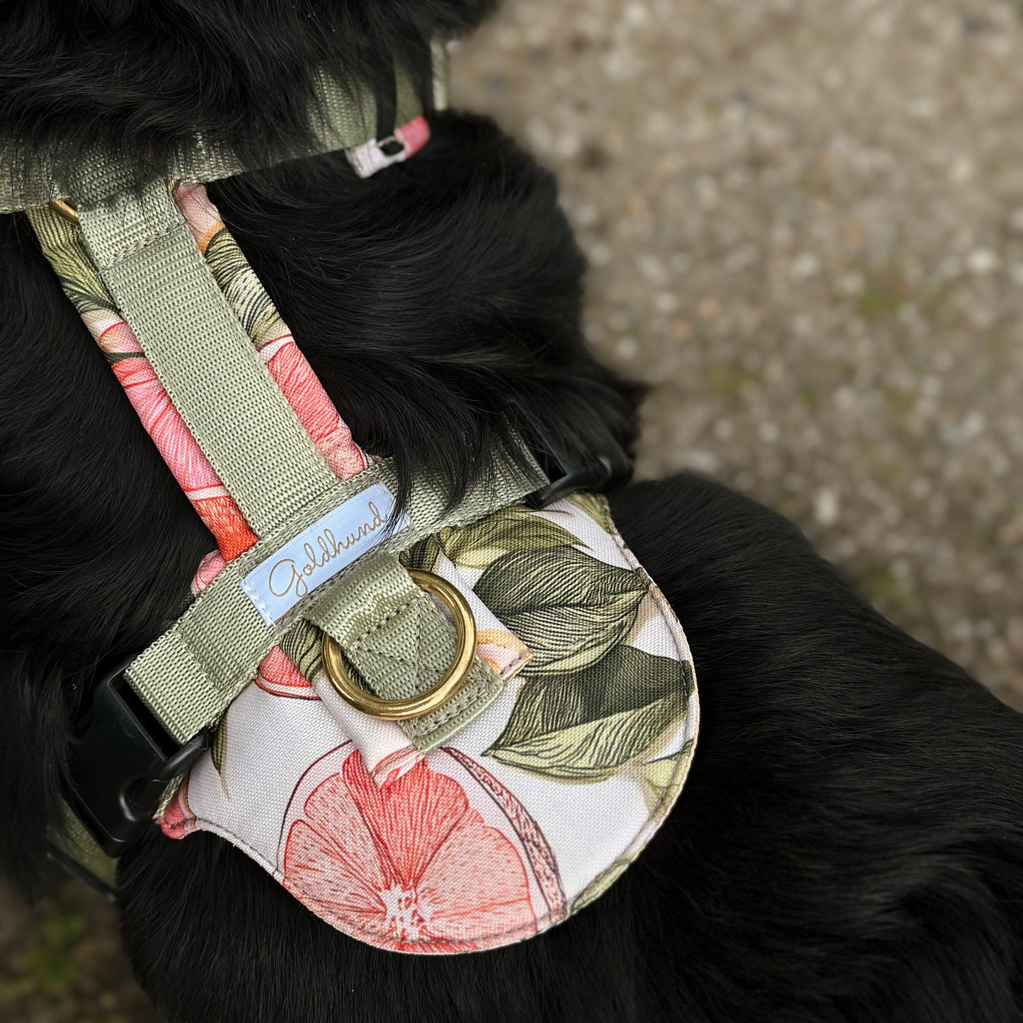 Hundegeschirr CARE Grapefruits