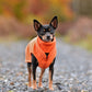 Hundepullover CosyShirt stay warm orange