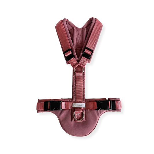 Hundegeschirr CARE outdoor altrosa