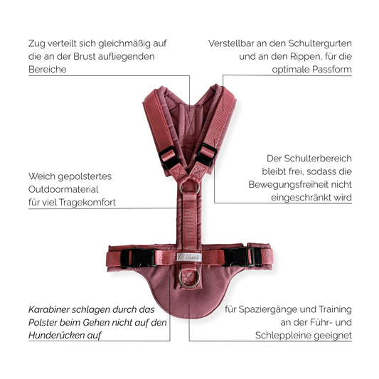 Hundegeschirr CARE outdoor altrosa