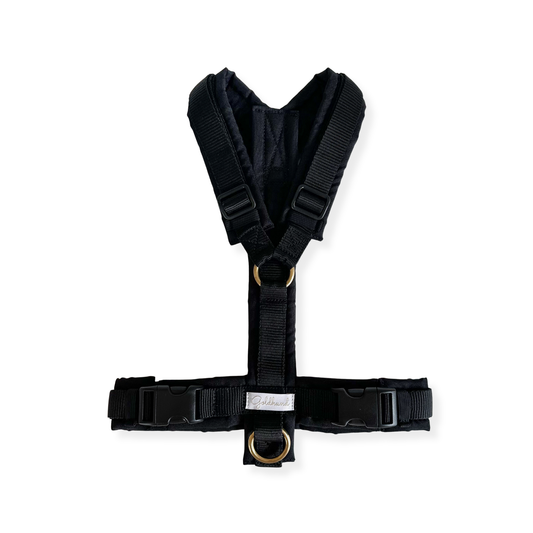 Hundegeschirr PURE outdoor schwarz
