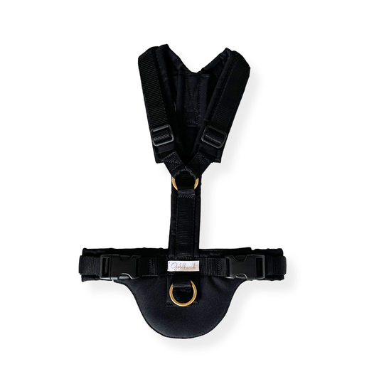 Hundegeschirr CARE outdoor schwarz