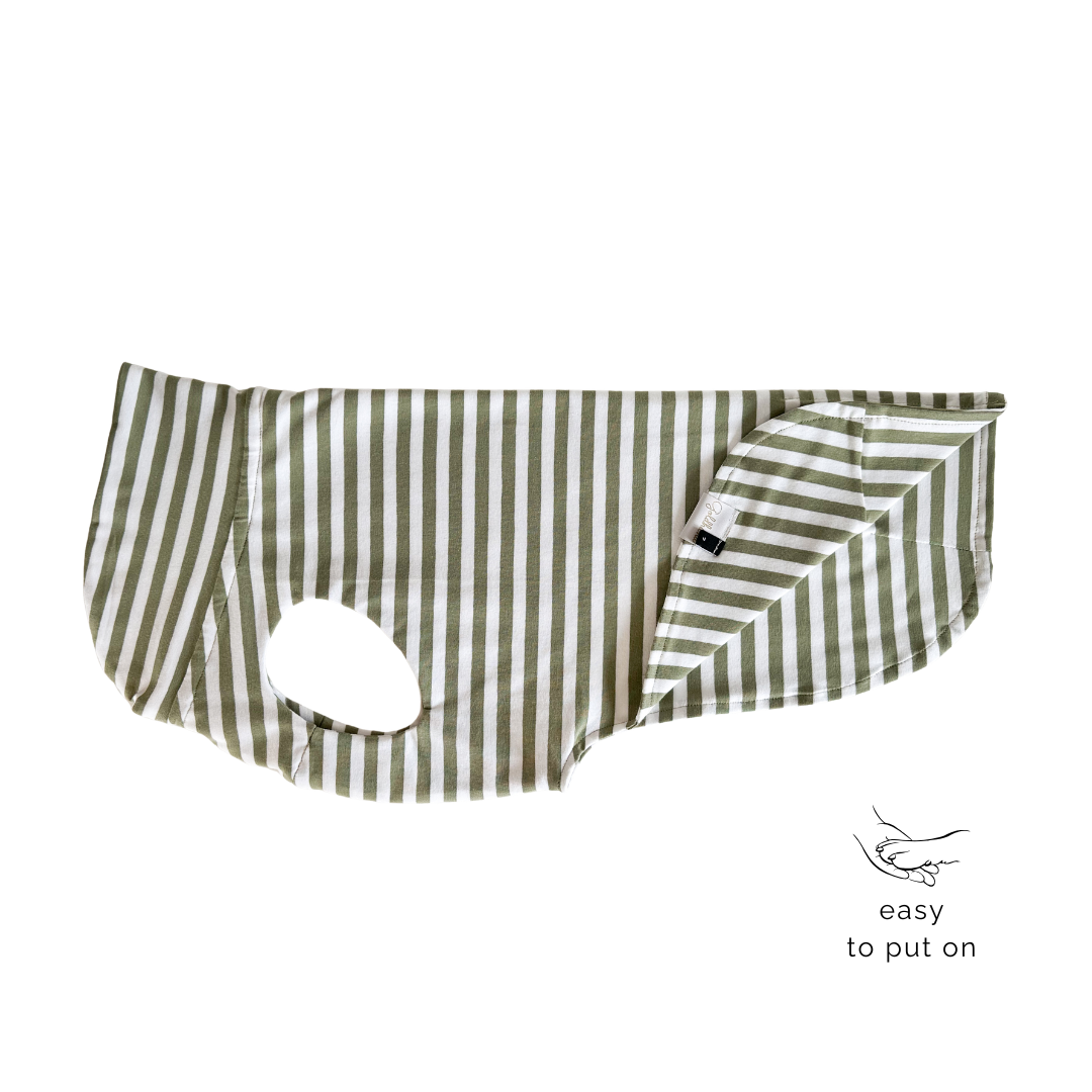 leichtes Hundeshirt CosyShirt light French Terry Stripes sage