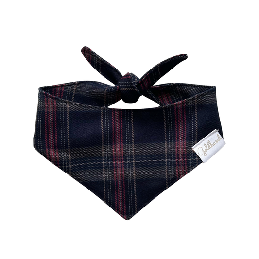 Hundehalstuch William 2.0