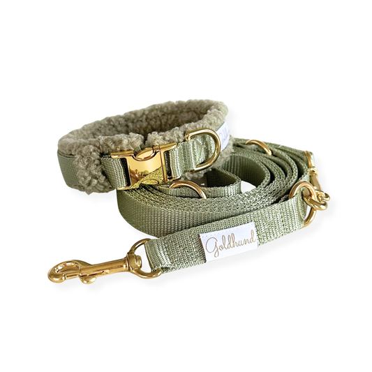 Hundehalsband Teddy sage