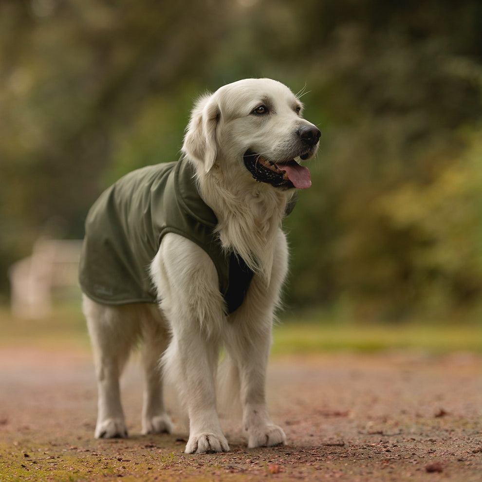 Leichter Hundemantel CosyShell