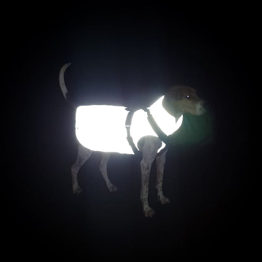 leichter Hundemantel CosyShell light in sight reflektierend
