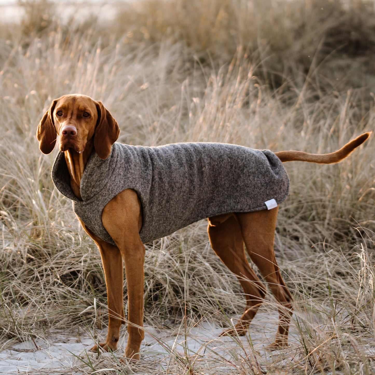 Hundepullover CosyShirt stay warm taupe meliert