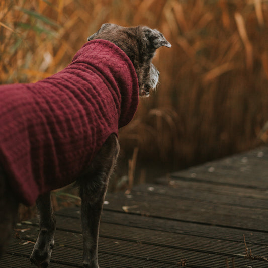 Hundepullover CosyShirt stay warm Zopfstrick dunkelrot